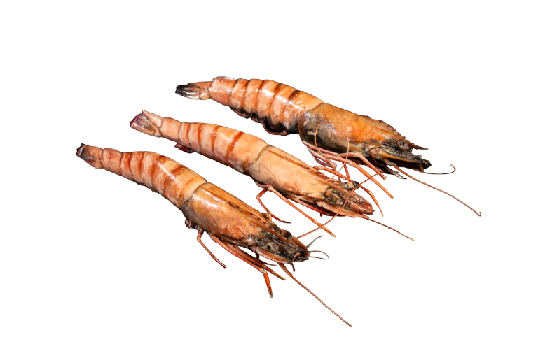 Garnalen